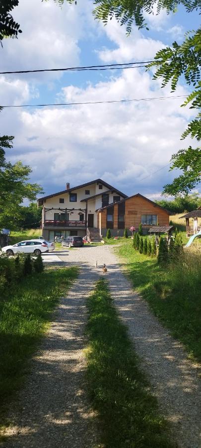 Villa Casa Dunca Sighetu Marmaţiei Exterior foto